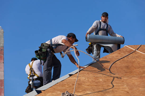 Best Storm Damage Roof Repair  in Doniphan, MO